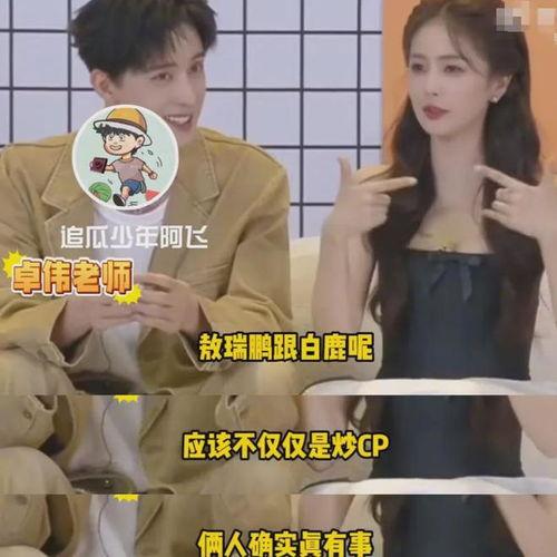 狗仔爆料白鹿最新,狗仔爆料揭秘明星私生活  第2张