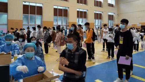 迪希亚最新爆料消息视频,独家内幕大公开！  第3张